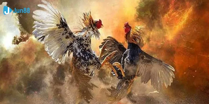 Tổng hợp kinh nghiệm soi kèo đá gà chính xác từ cao thủ