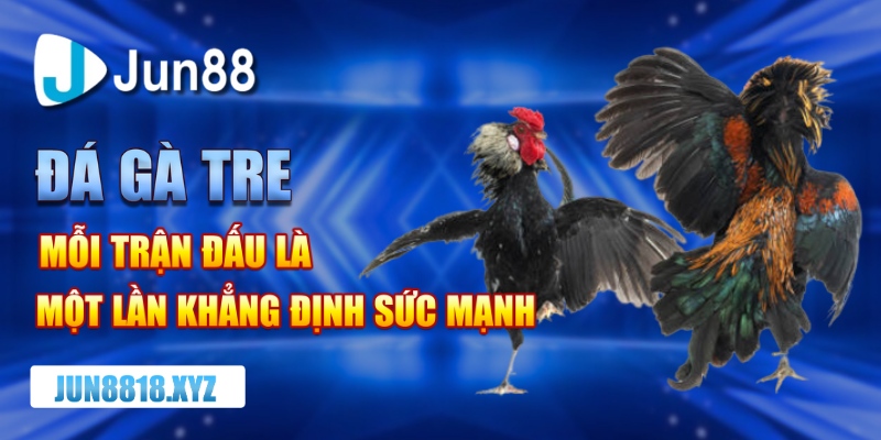 đá gà tre