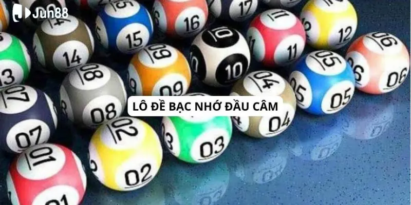 bac nho dau cam 1 1