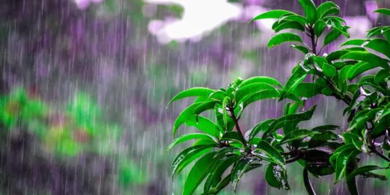 Các số đề dễ trúng khi nằm mơ về mưa